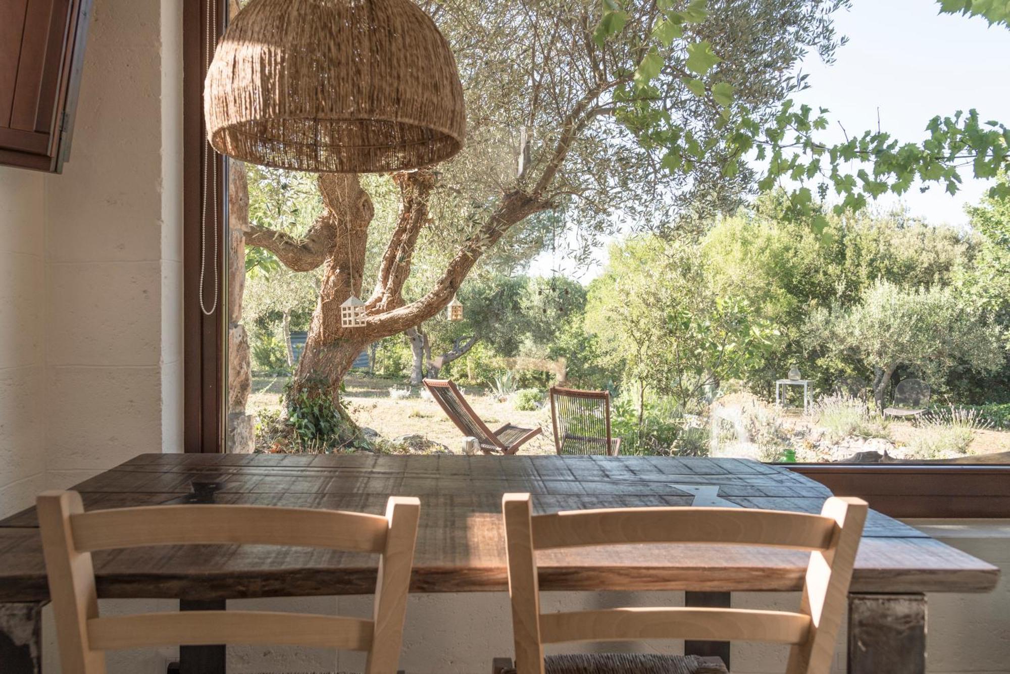 Dimora Casanoja Guest House Noci Room photo