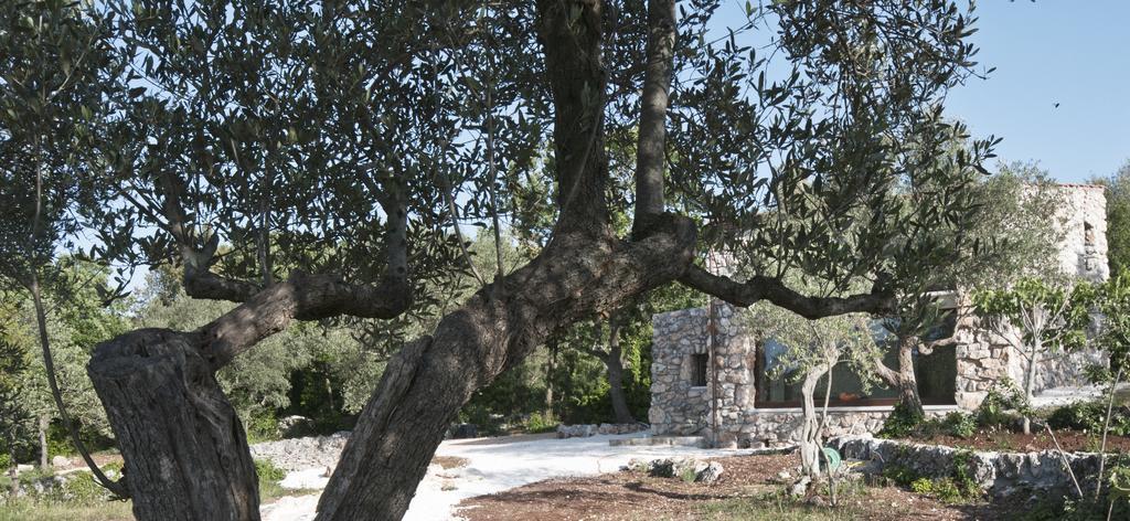 Dimora Casanoja Guest House Noci Exterior photo